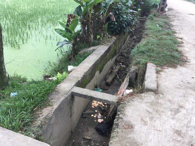 be trai cua cap vo chong hiem muon tu vong duoi muong nuoc