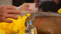 ta hoa phat hien cu ong an xin tu vong bat thuong duoi chan cau