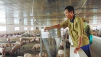bo nong nghiep gui van ban hoa toc de nghi cac tinh cuu lon