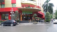 vu trom 100 cay vang o binh dinh bat tiep 1 nghi can