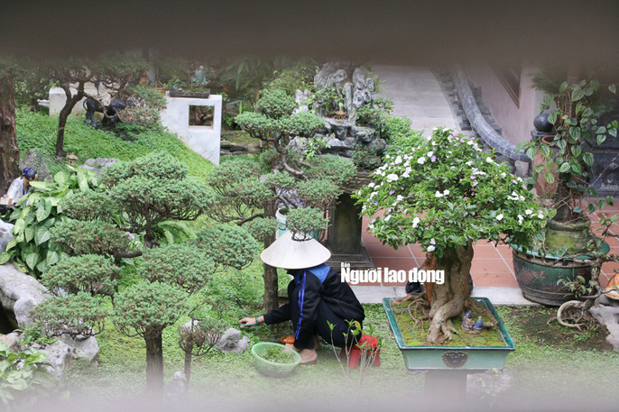 can canh noi cuu tong cuc truong phan van vinh o truoc khi bi bat