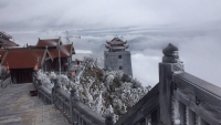 dai su my tai lhq nga khong bao gio la ban cua my