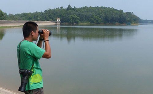sau nam tim kiem rua hoan kiem o ngoai thanh ha noi