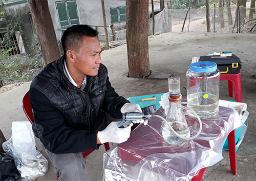 sau nam tim kiem rua hoan kiem o ngoai thanh ha noi