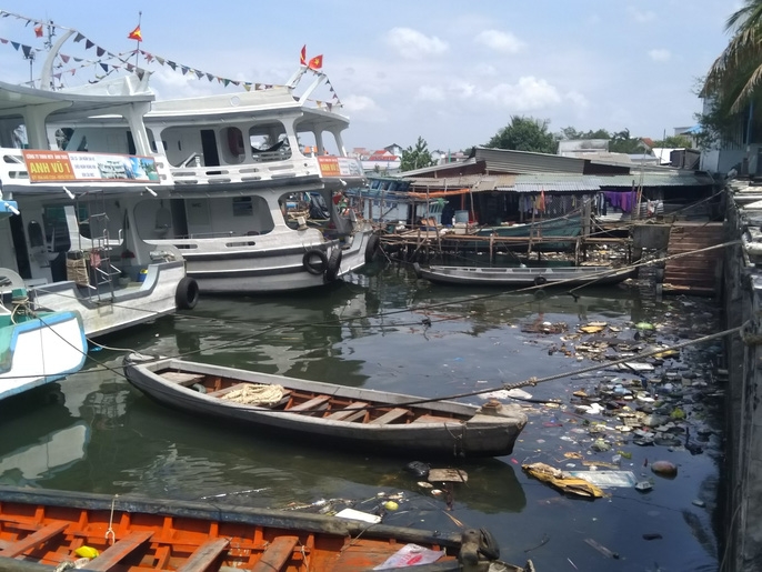 on lanh voi nui rac o dao ngoc phu quoc