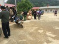 Triệu tập giáo viên lùi xe ô tô ở sân trường chèn học sinh lớp 1 tử vong tại chỗ