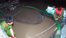 Bắt quả tang cát tặc cày xới sông Tiền trong đêm