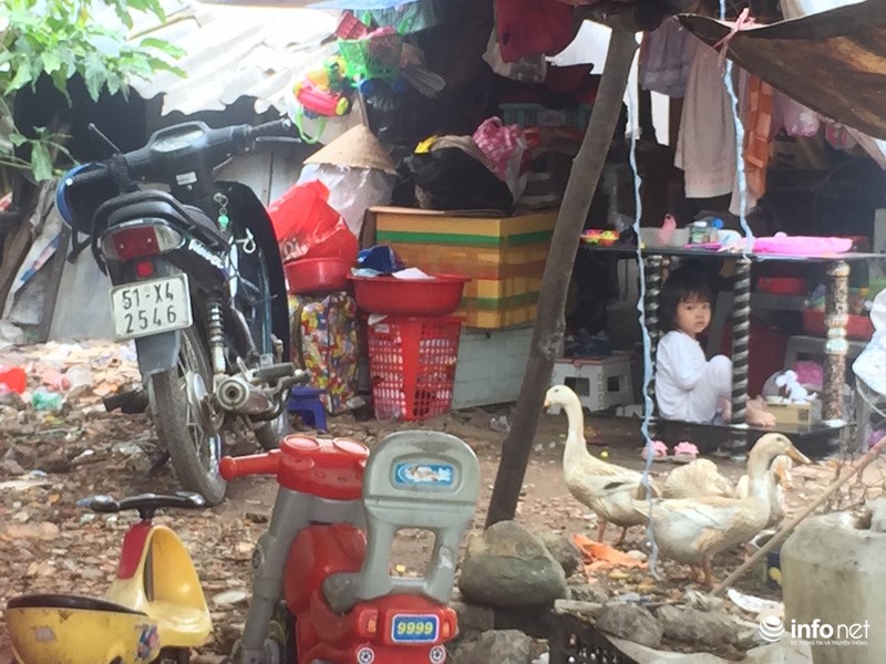 cuoc song co cuc cua nguoi dan bi giai toa o ban dao thu thiem