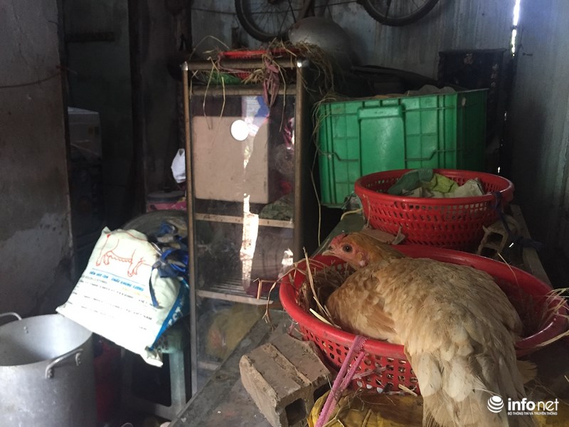 cuoc song co cuc cua nguoi dan bi giai toa o ban dao thu thiem