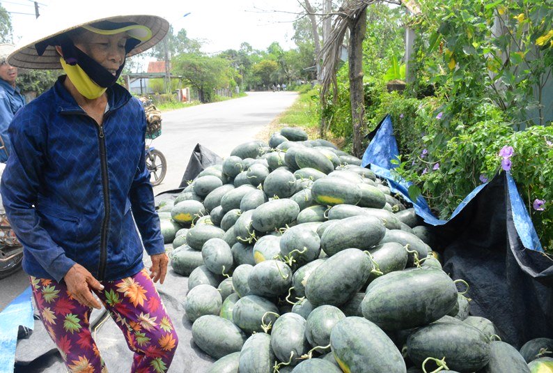 thuong lai tau bo bom ngan tan dua hau vet sach re ho tieu
