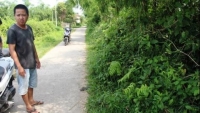 20 csgt ha noi bi dinh chi gio ra sao