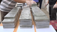 tieu huy 490 banh heroin trong duong day cua tu tu nguyen van tinh
