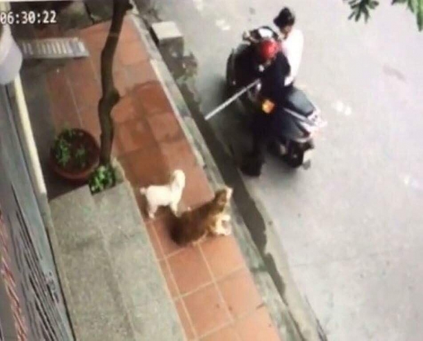 hai duong xon xao clip cho nam tren via he bi can bo phuong vay bat