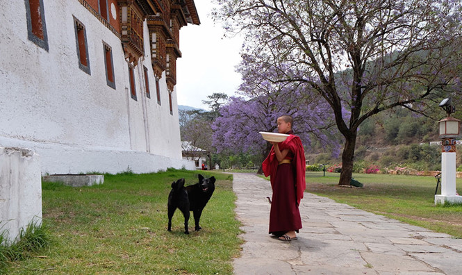 bhutan co gi ngoai hanh phuc