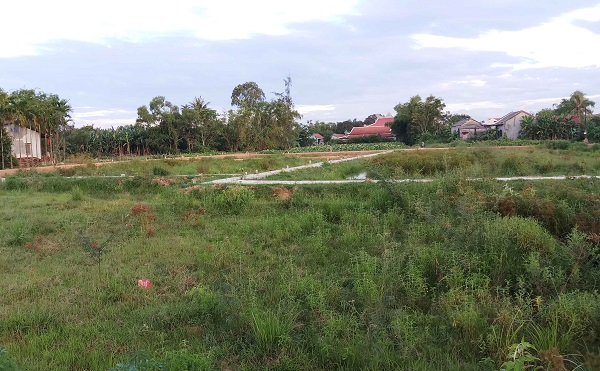 phu vang thua thien hue dau hieu bat thuong tai phien dau gia 43 lo dat