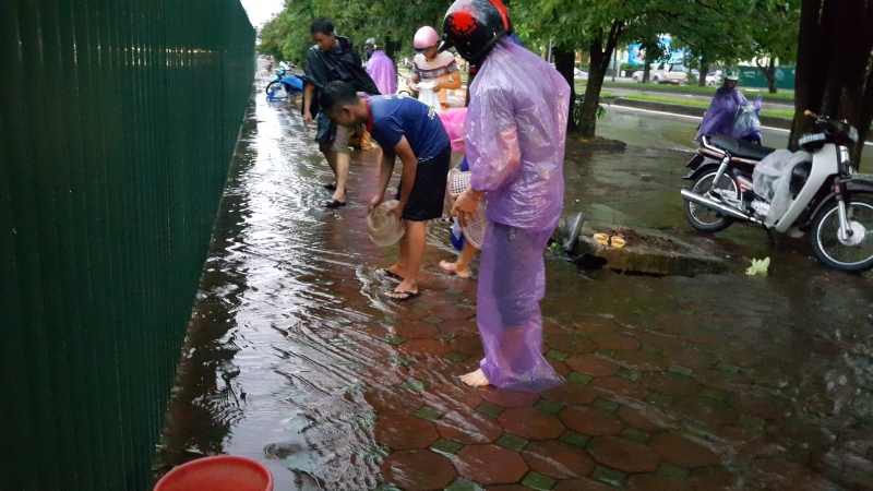ha noi nguoi dan dung ro ra bat ca tren via he sau bao so 3