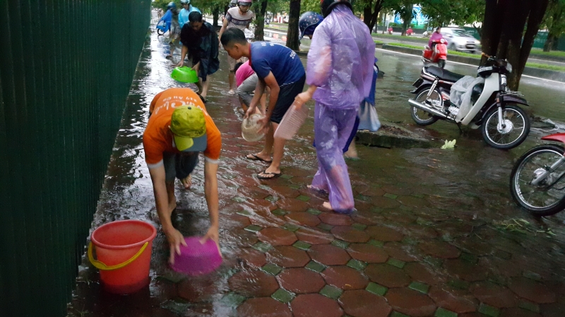 ha noi nguoi dan dung ro ra bat ca tren via he sau bao so 3