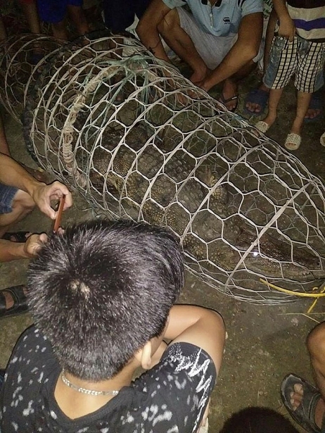 ha noi vao cuoc tim kiem ca sau tren song tich