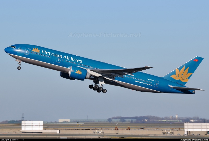 vietnam airlines bo tri may bay rieng don doan the thao viet nam tro ve tu asiad 18