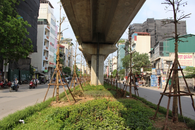 ha noi ly giai viec trong cay xanh duoi gam duong sat tren cao