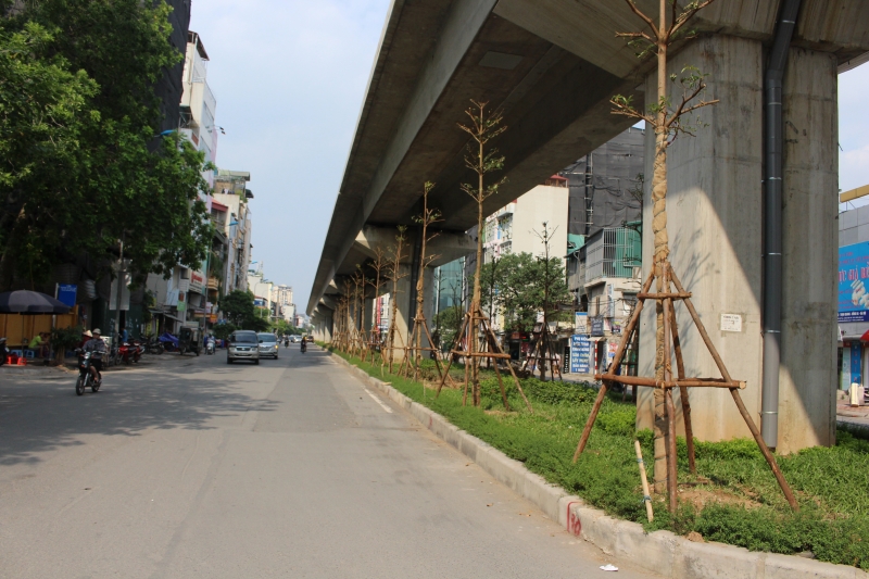 ha noi ly giai viec trong cay xanh duoi gam duong sat tren cao