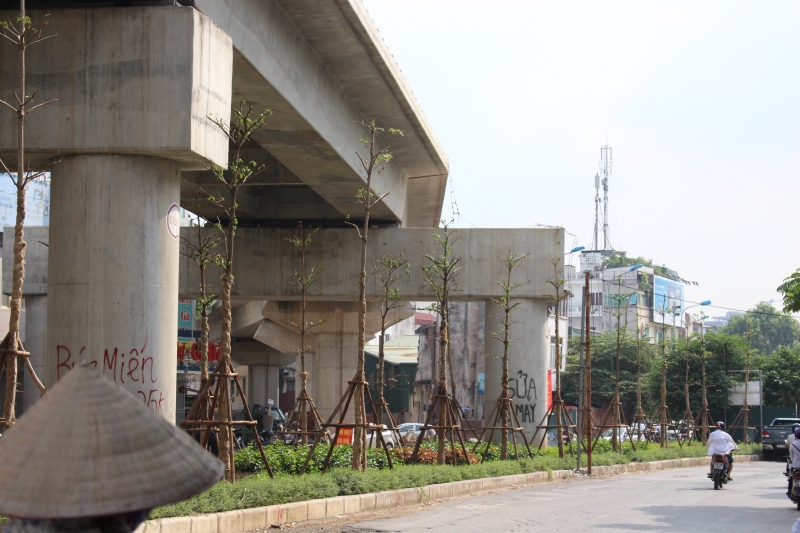 ha noi ly giai viec trong cay xanh duoi gam duong sat tren cao