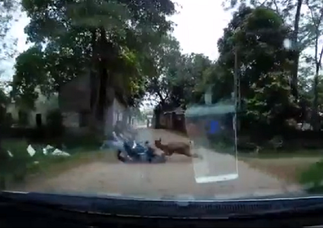 nong tren mang xa hoi ba xe dung do dan mang dau dau tim thu pham