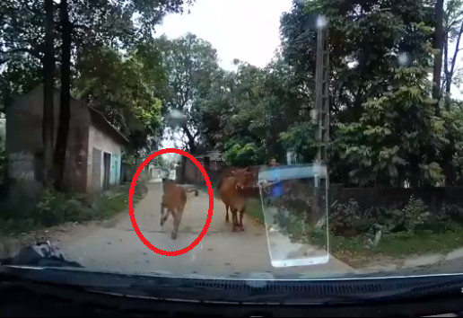 nong tren mang xa hoi ba xe dung do dan mang dau dau tim thu pham