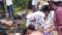 sau 2 nam dap chieu cong vien tram ti o ha noi da chieu long nguoi dan