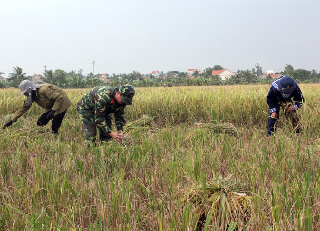 hai phong quang ninh cang minh ung pho voi bao so 7