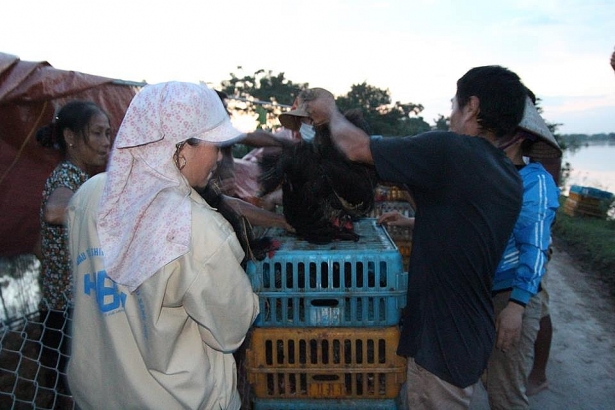 vu lo troi de o huyen chuong my ra ve duong an com vi trong chop mat da khong con nha de o