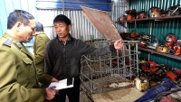 mat cau thang long bi han lun ran nut nghiem trong ha noi kien nghi sua chua tong the