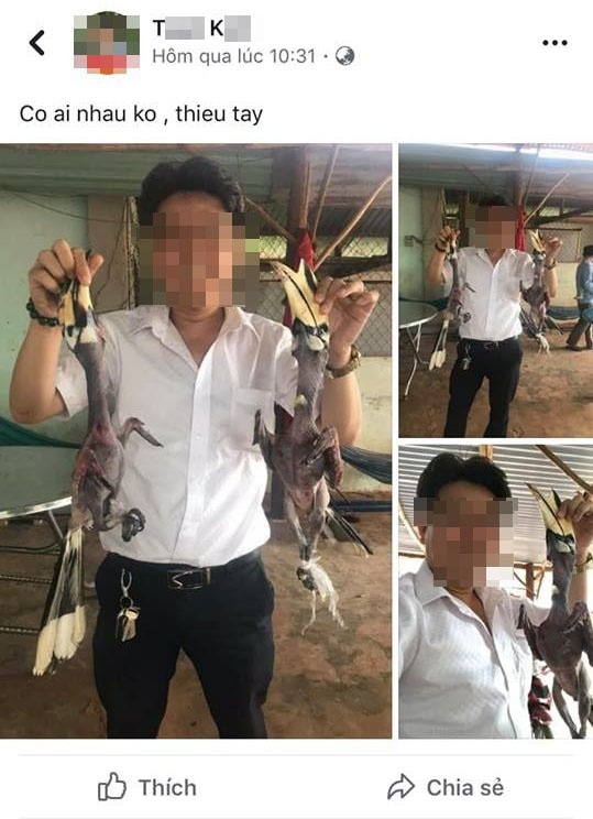 giam doc khoe an thit chim tren facebook chim cao cat thuoc ho hong hoang khong phai quy hiem