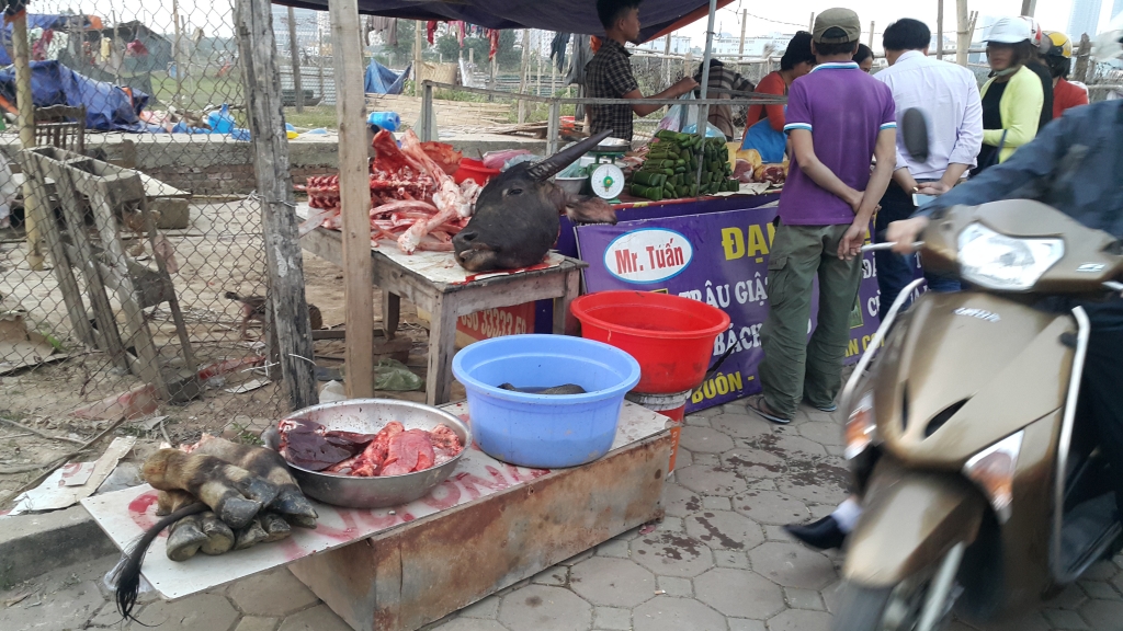 ha noi mo ban trau da dieu ca sau hut khach tai via he