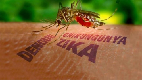 ba ria vung tau ghi nhan ca nhiem vi rut zika dau tien