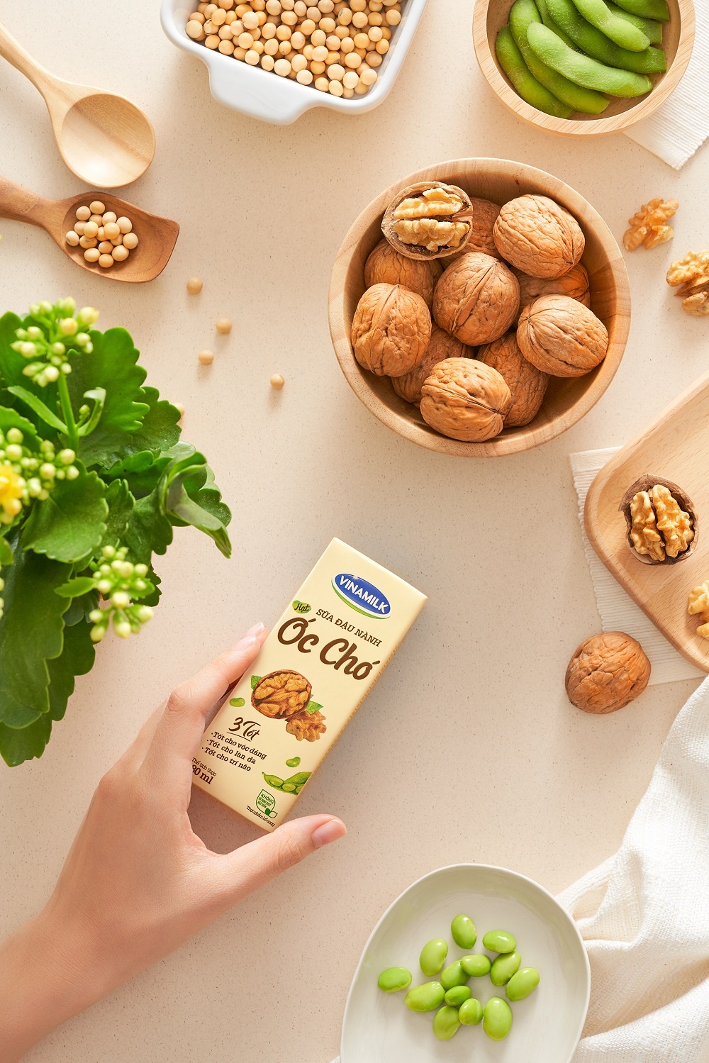 xu the sua hat trong thoi dai xanh