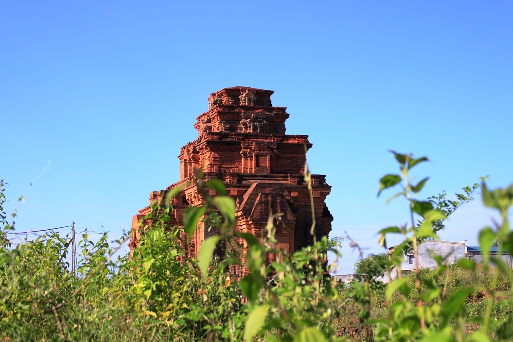 di tich quoc gia dac biet dang bi lang quen o ninh thuan