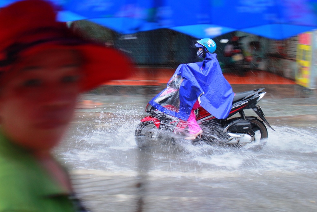 dau tuan nguoi dan sai gon doi mua di lam
