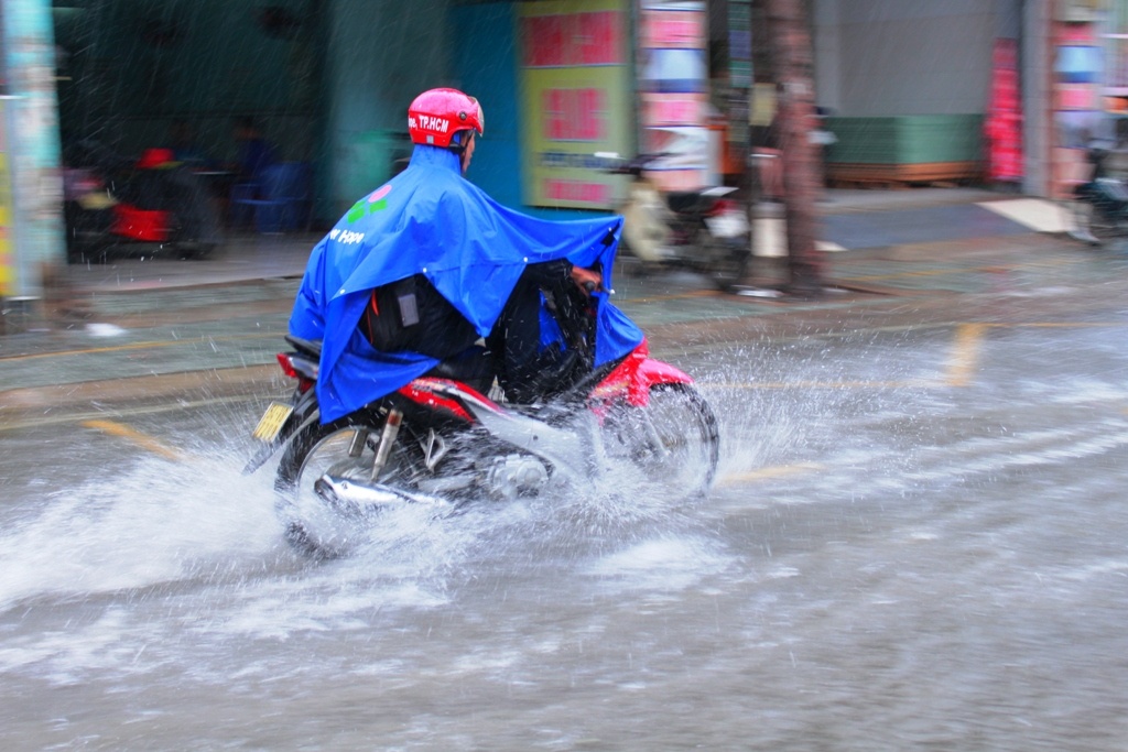 dau tuan nguoi dan sai gon doi mua di lam