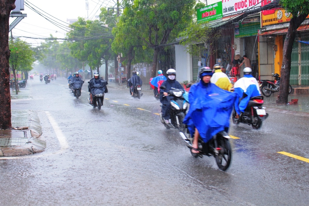 dau tuan nguoi dan sai gon doi mua di lam
