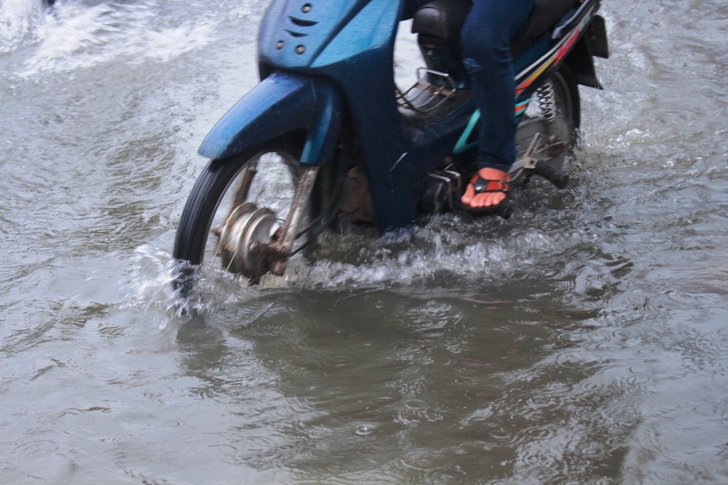 dau tuan nguoi dan sai gon doi mua di lam