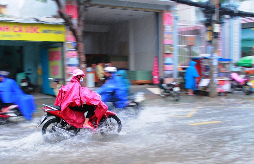 dau tuan nguoi dan sai gon doi mua di lam