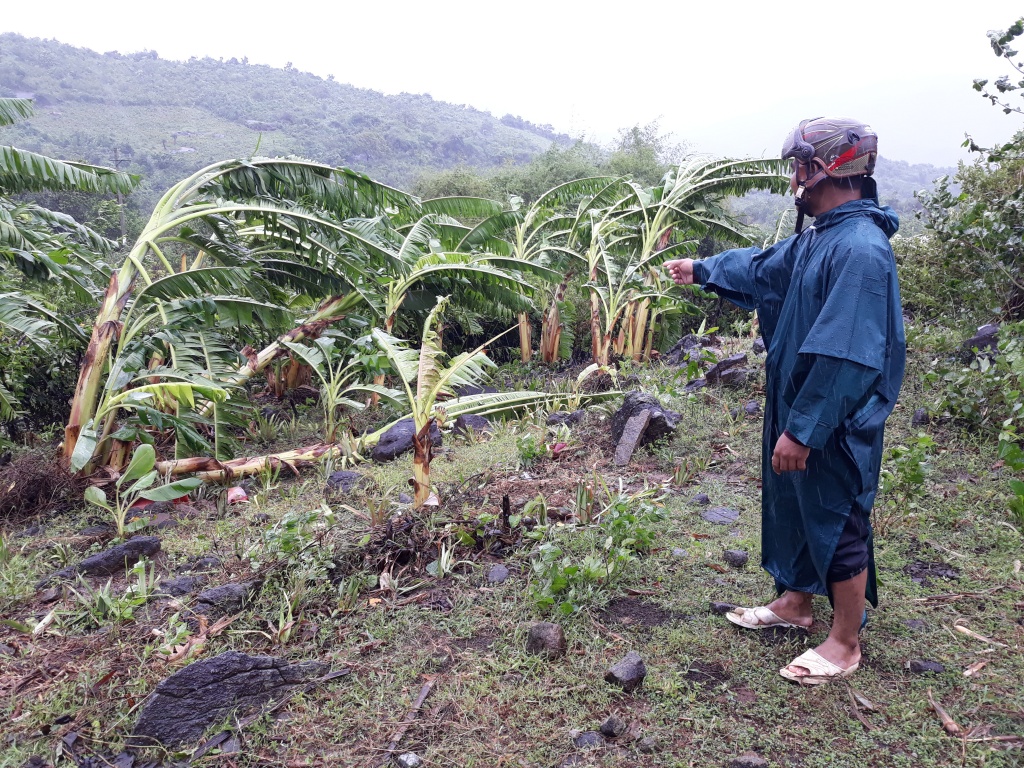 bao so 12 lam nhieu nha dan truong hoc tai ninh thuan bi toc mai do sap