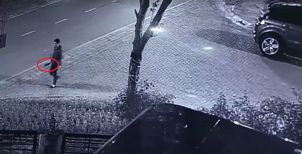 he lo video hai nguoi cam hung khi truy duoi taxi o khu do thi gamuda