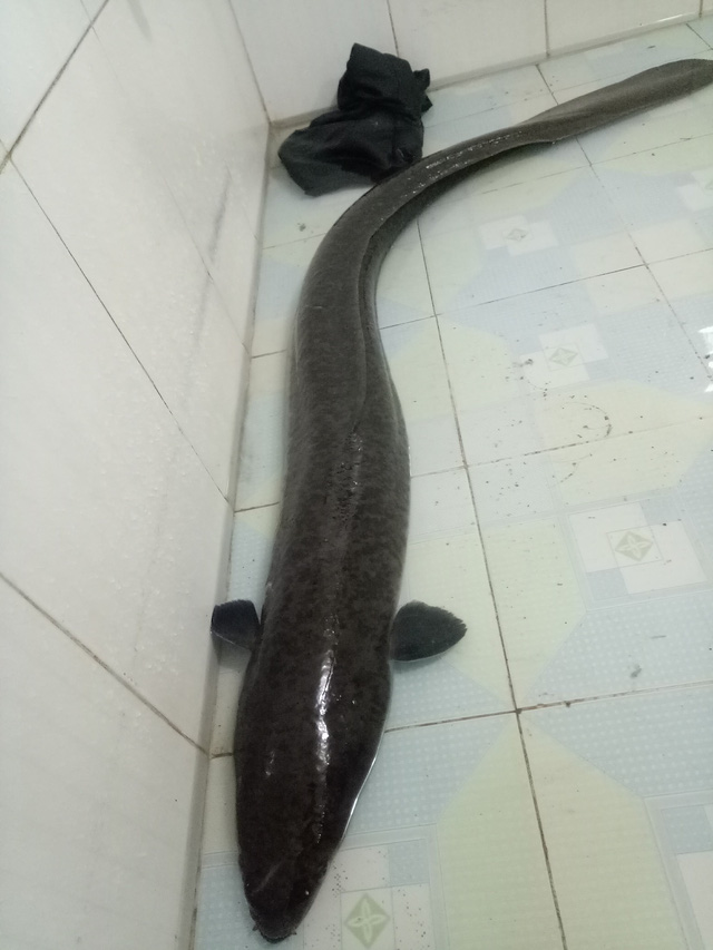 bat duoc ca lech khung nang gan 10kg trong sang ngay dau nam