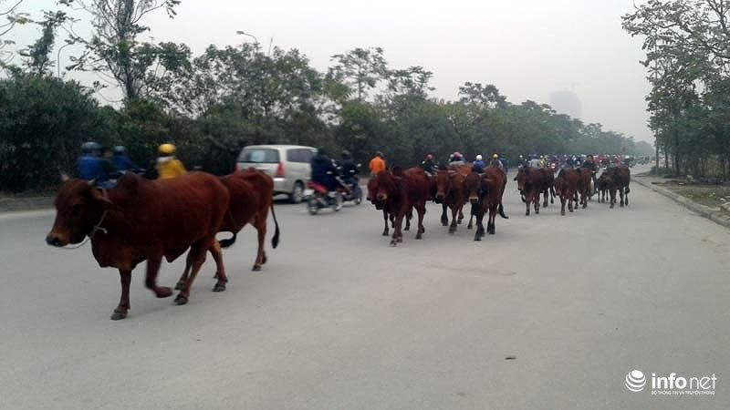 ha noi la lung bo di nghenh ngang tren dai lo hien dai nhat viet nam