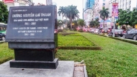 ha noi trong cay phong la do tren duong pho