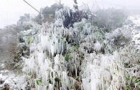 du bao thoi tiet hom nay 111 nen nhiet duoi 3 do c ret buot bao phu mien bac