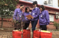 viet nam nhi the gioi ve ty le huong luong huu