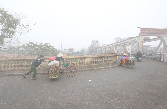 ha noi chim trong suong mu